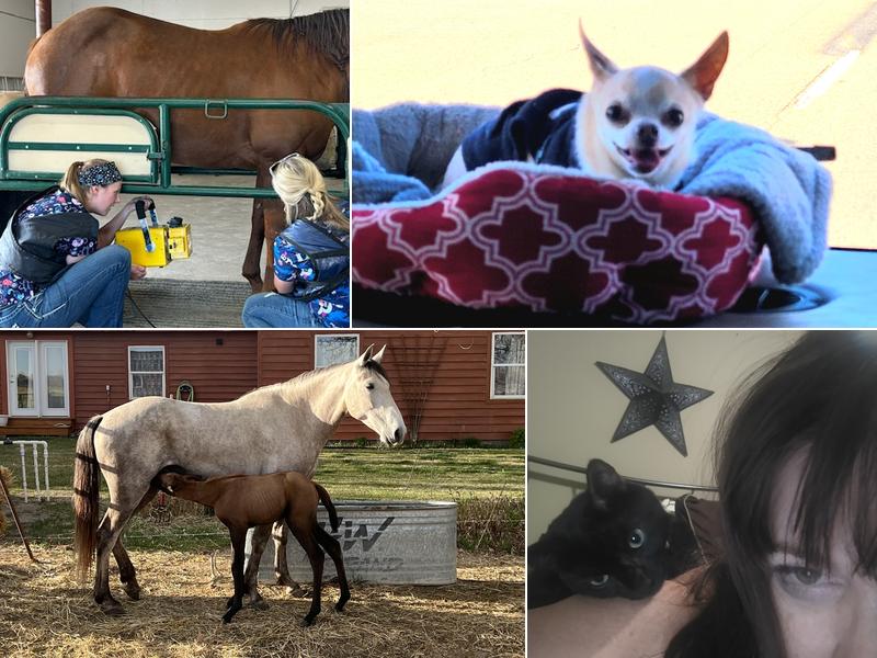 Cody Veterinary Hospital