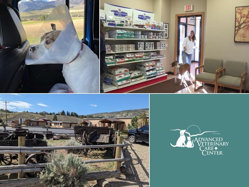 Advanced Veterinary Care Center