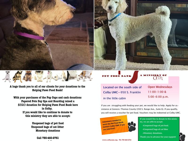 Pampered Pets Day Spa