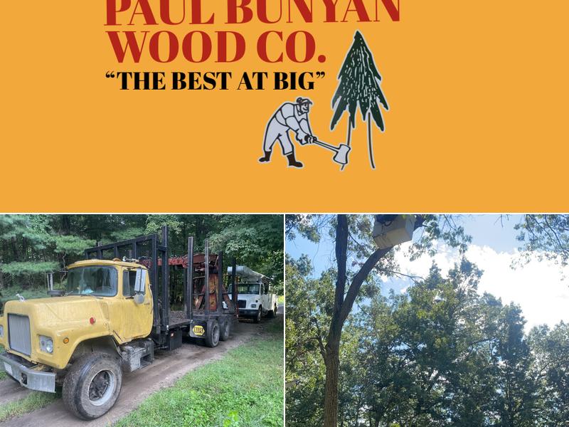 Paul Bunyan Wood Co