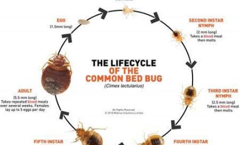 Rid-All Pest Control