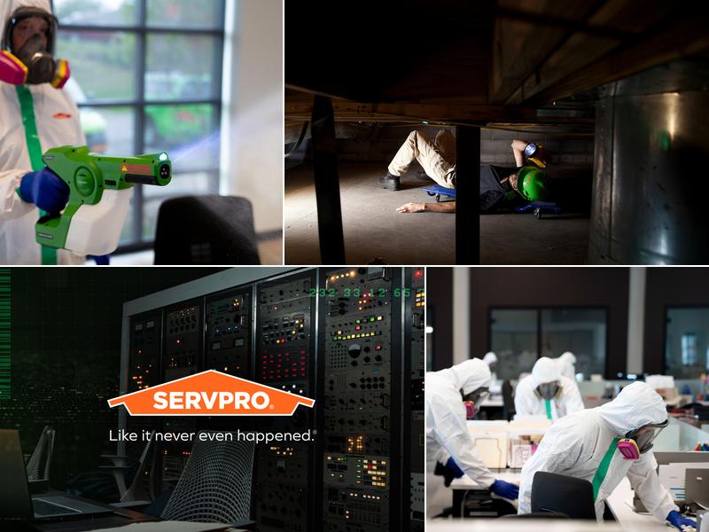 SERVPRO of Mount Clemens, New Baltimore