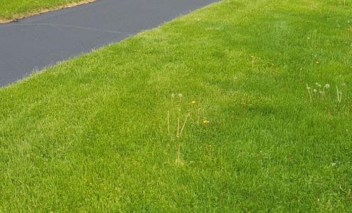 H D Sealcoating & Paving Solutions Waterford