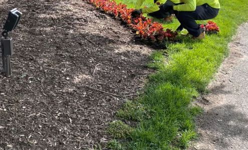 Timberland Landscape Inc