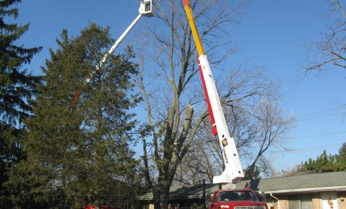 Michigan Tree Technologies