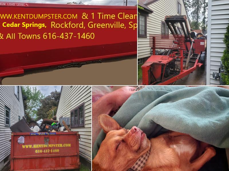 Domestic Clean Up Service & Dumpster Rentals