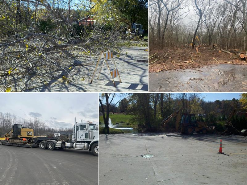 Great Lakes Tree Services