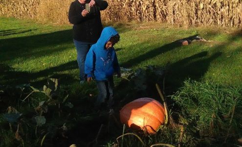 American Interiors 6828 2 1/2 Mile Rd, East Leroy Michigan 49051