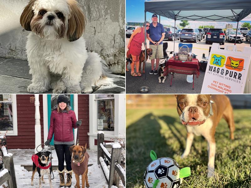 Wag & Purr Pet Sitting