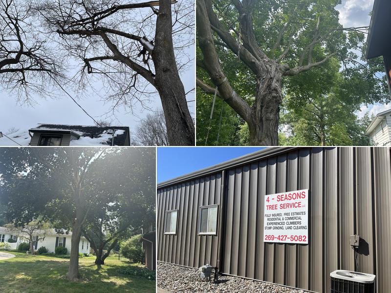 4 Seasons Tree Services, LLC.