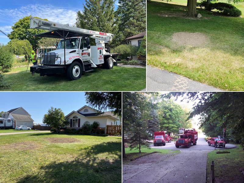 Maki's Tree Services LLC