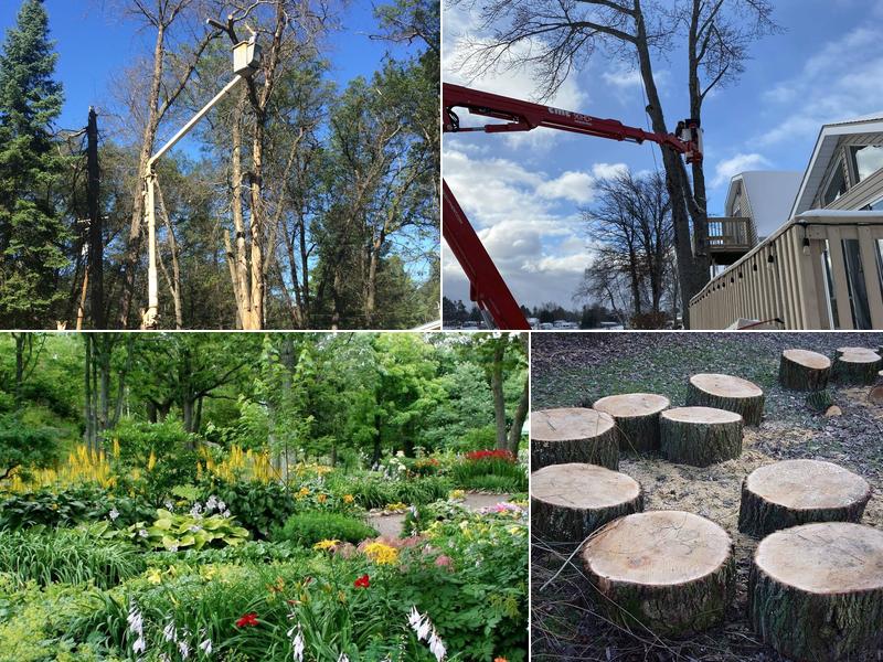 Timlick's Tree Service