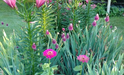 A Plus Seamless Eavestrough 12680 Trinklein Rd, Hemlock Michigan 48626