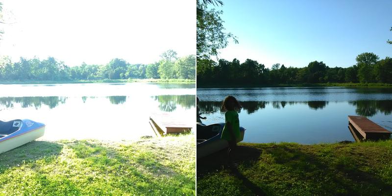 Dennis' Tree Service