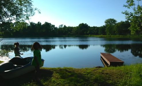 Dennis' Tree Service