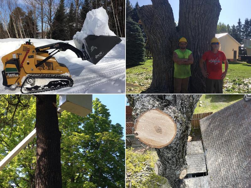 Tikky's Tree Services