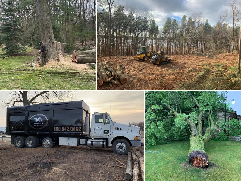 Top Notch Tree Service