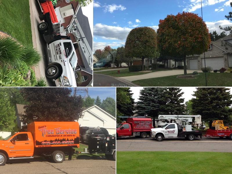 Gene's Tree Service