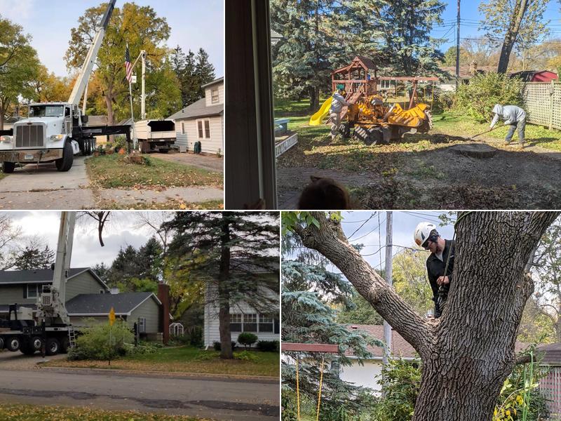 Xtreme Tree Team Inc