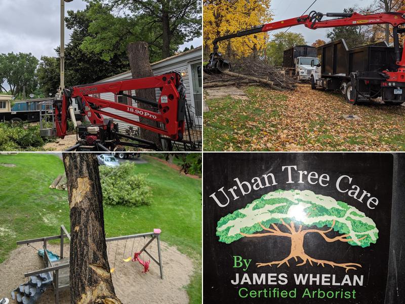 Urban Tree Care by Jim Whelan
