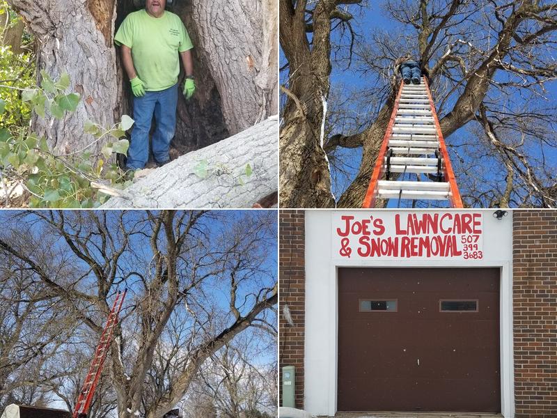 Joe's Lawn Care Tree & Snow Removal LLC