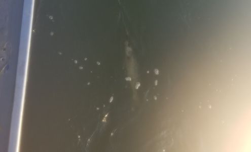 Roemhildt Concrete Inc 3762 Sioux Ln, Madison Lake Minnesota 56063