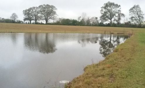 Big E's Sod 45 Whitfield Dr, Poplarville Mississippi 39470