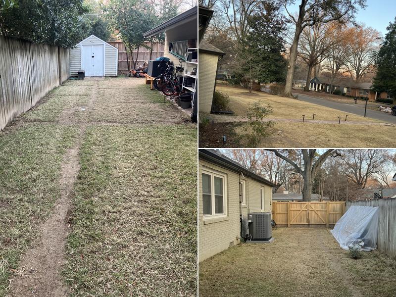 Growth Spurts Landscape