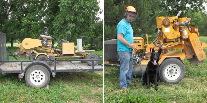 Affordable Stump Removal