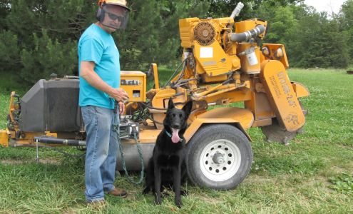 Affordable Stump Removal 123 County Rd 245, Auxvasse Missouri 65231