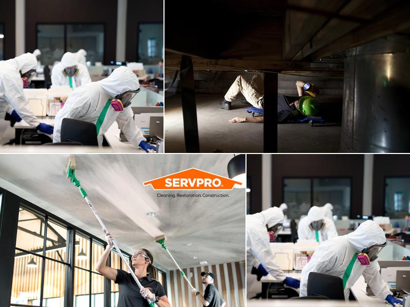 SERVPRO of Poplar Bluff, Dexter and Kennett
