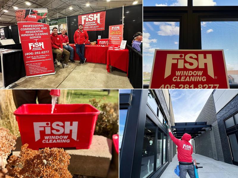 Fish Window Cleaning