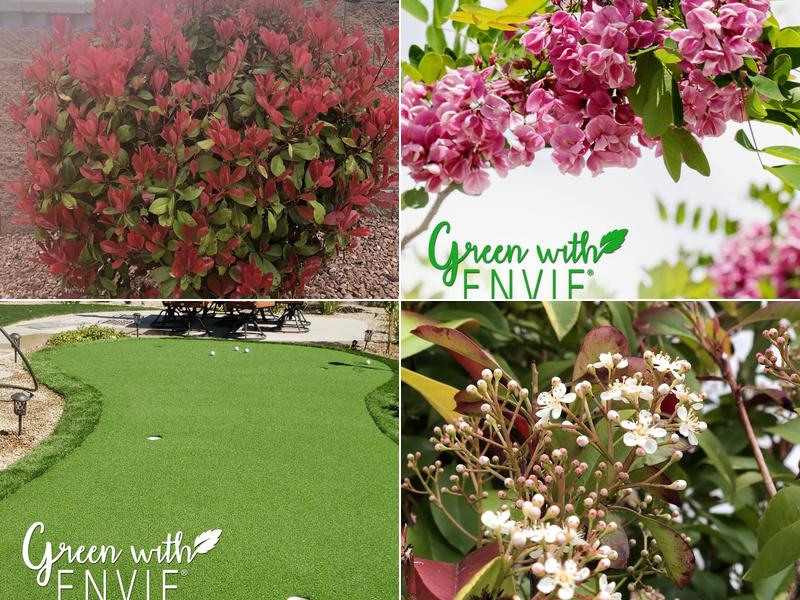 Green with Envie LLC