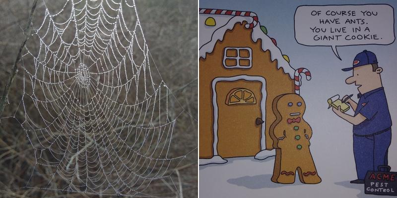 Good Day Pest Control