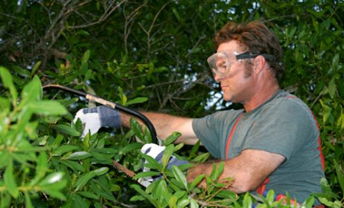 ArborPro Plant Care Experts