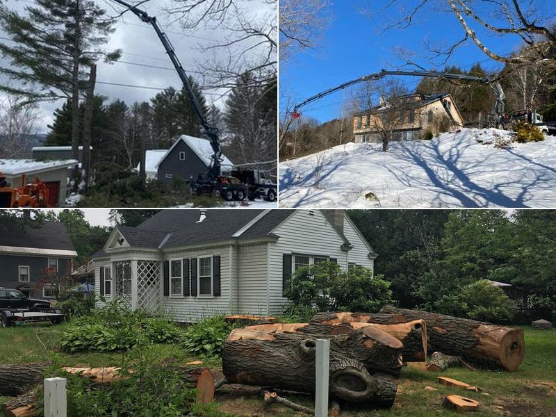 Longto Property Maintenance