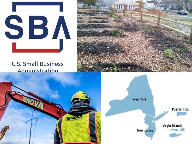 Renova Environmental Company