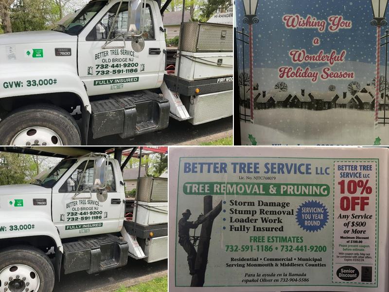 Better Tree Service