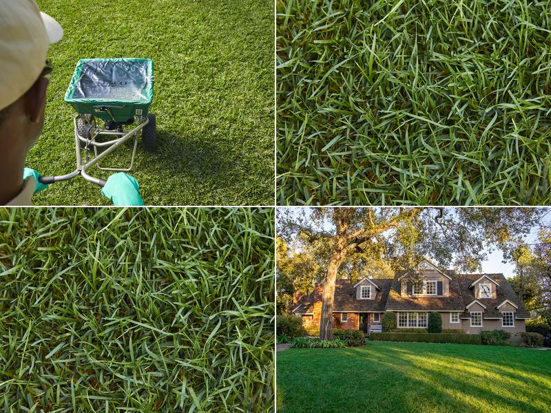 TruGreen Lawn Care