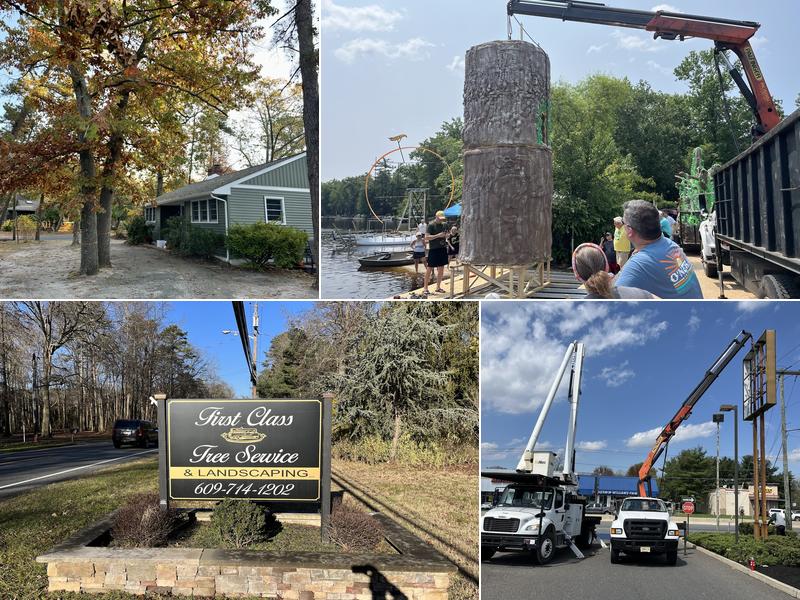 First Class Tree Service