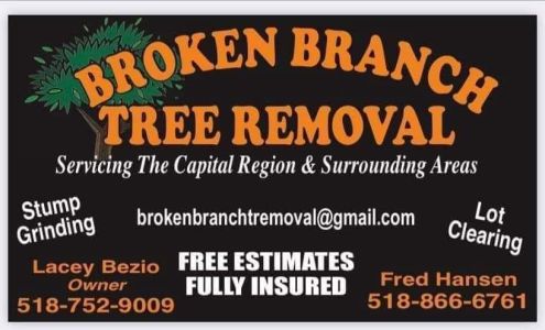Broken Branch Tree Removal 141 Honeywell Corners Rd, Broadalbin New York 12025