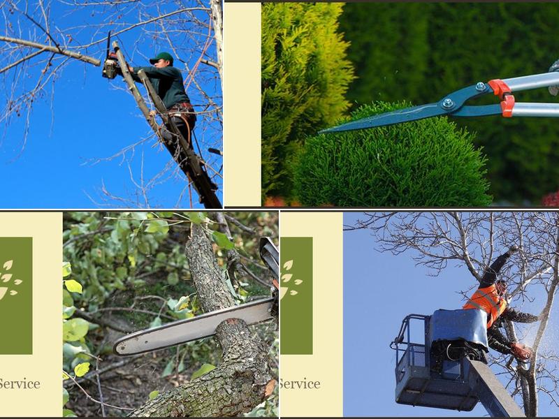 Donovan Tree Service