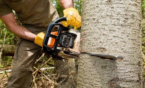 Harmony Tree Service 350 Mariaville Rd, Schenectady New York 12306