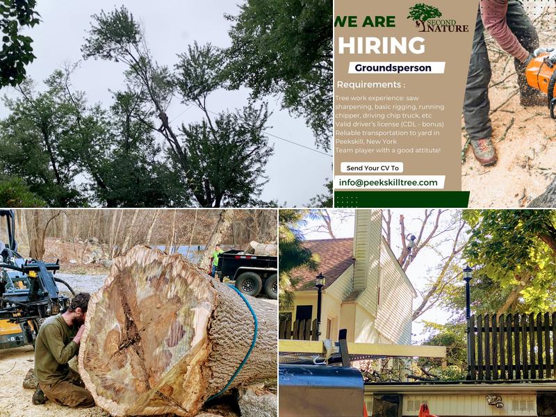 Second Nature Tree LLC