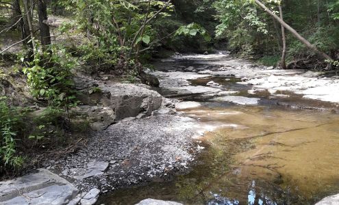 Dave Marion Carpentry Inc. 2492 Fry Rd, Aurora New York 13026