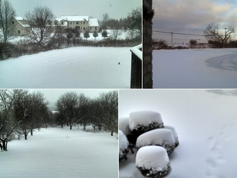 Hadley's Landscape & Snow Services