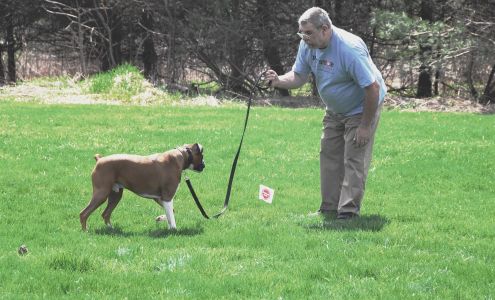 Syracuse Dog Fence 4566 Roberts Rd, Cazenovia New York 13035