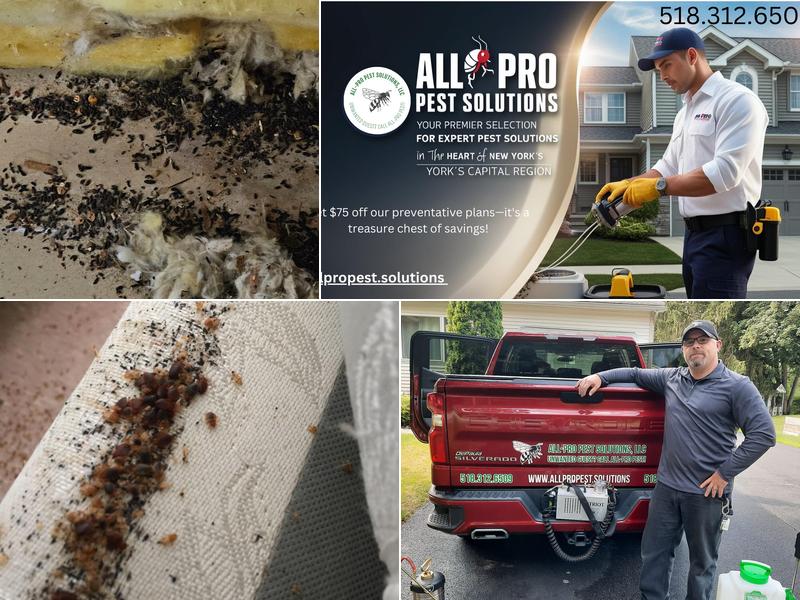 All-Pro Pest Solutions LLC