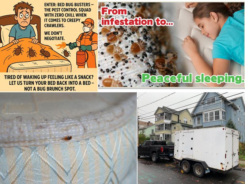 Bed Bug Busters By Ellington Management LLC