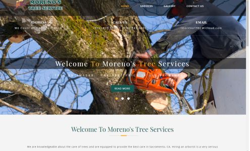 Tree Services in Sacramento CA